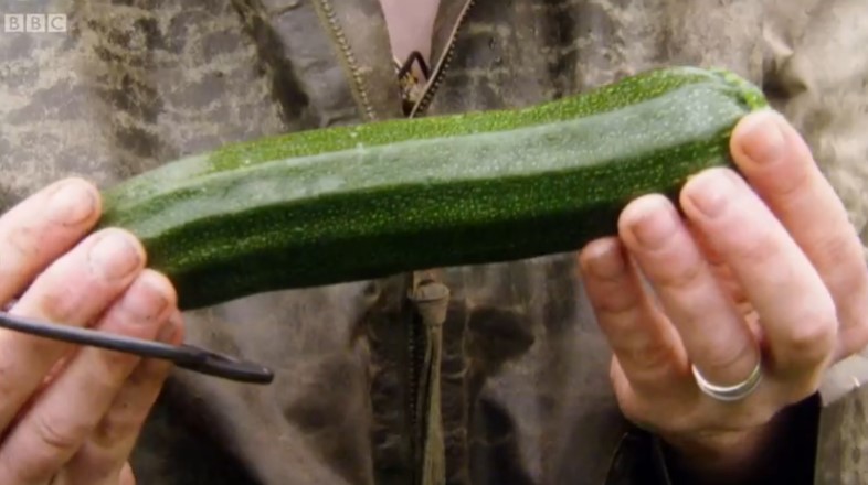 Courgettes