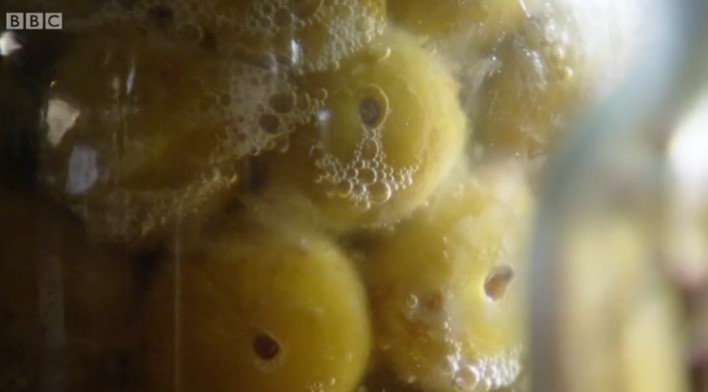 Pickling