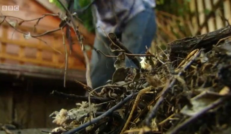 Compost