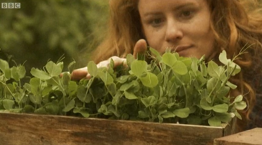 Alys Fowler Peashoots Alys Fowler Peashoots