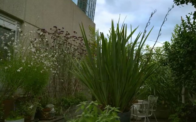 Balcony gardens