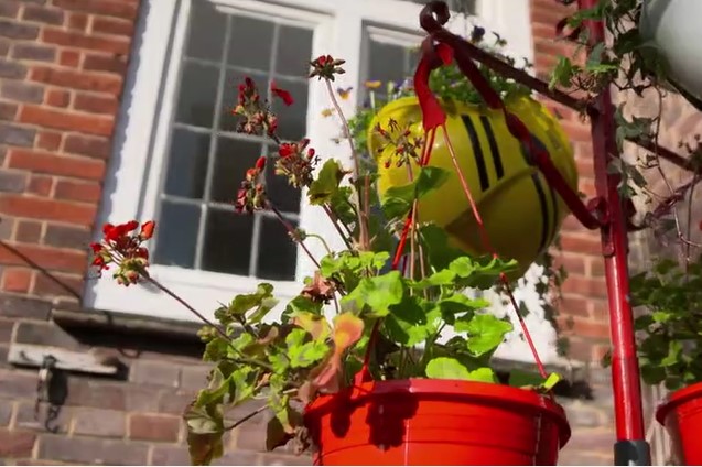 Balcony gardens
