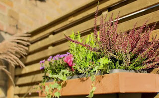 planters planters