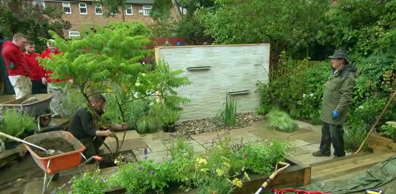 Harri plants a tree in the patio