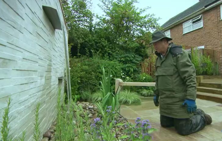Tiled walls and new plants