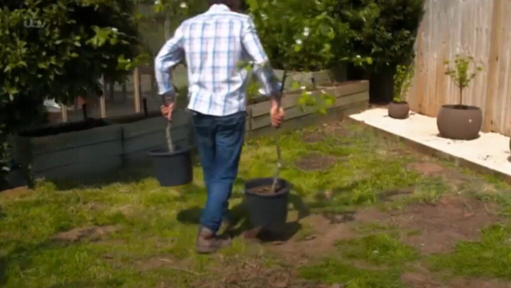 David Domoney planting fruit trees David Domoney planting fruit trees