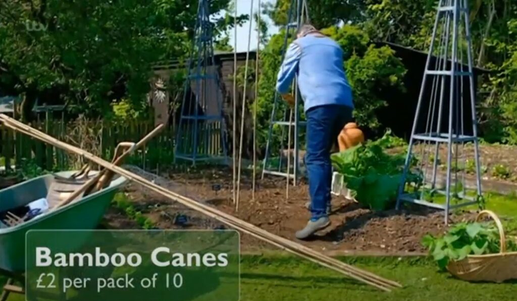 Alan Titchmarsh building Runner Bean Wig Wam Alan Titchmarsh building Runner Bean Wig Wam