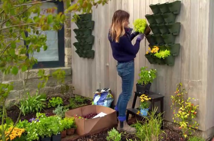 Katie Rushworth planter Katie Rushworth planter