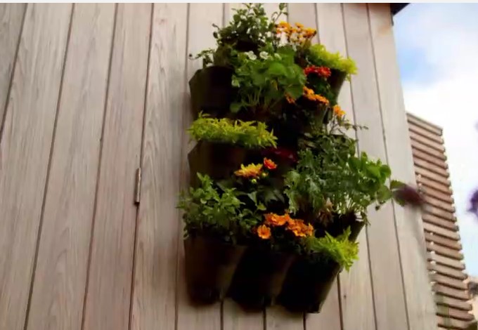 Katie Rushworth planter Katie Rushworth planter