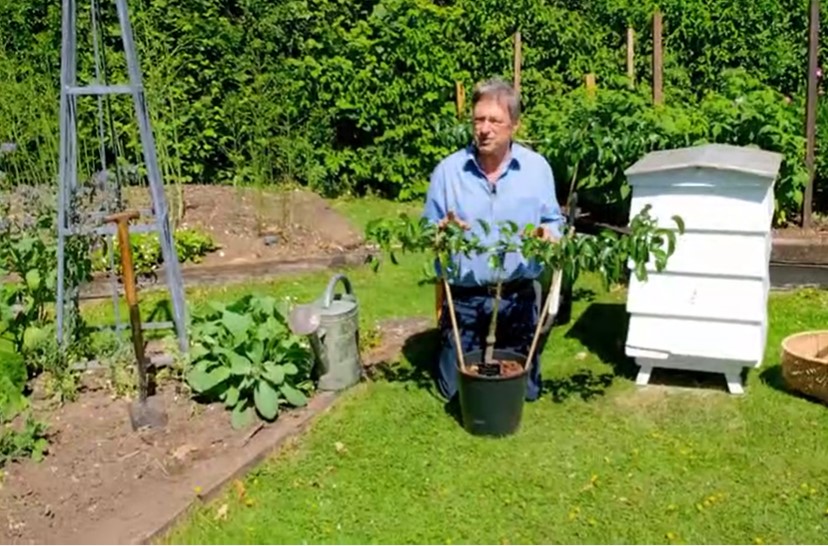 Alan Titchmarsh planting mini orchard