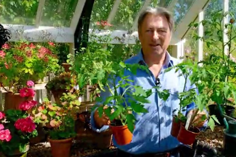 Alan Titchmarsh tomatoes