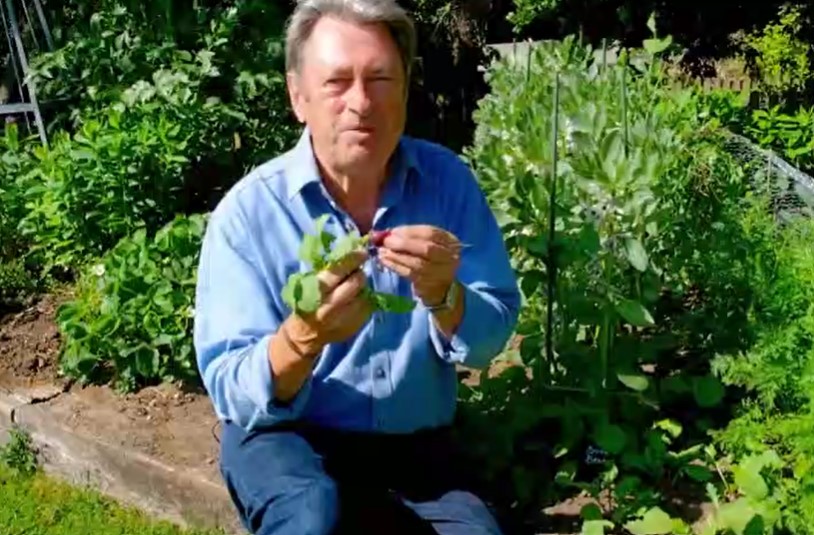 Alan Titchmarsh eating radishes