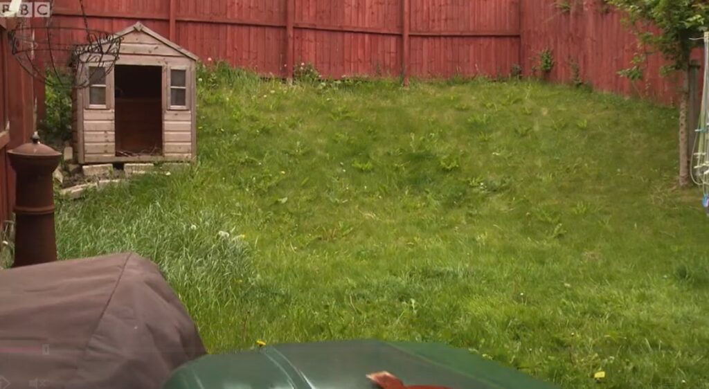 Garden before Garden before