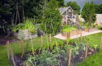 David Domoney  garden