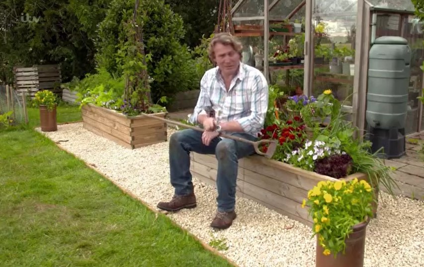 David Domoney  garden