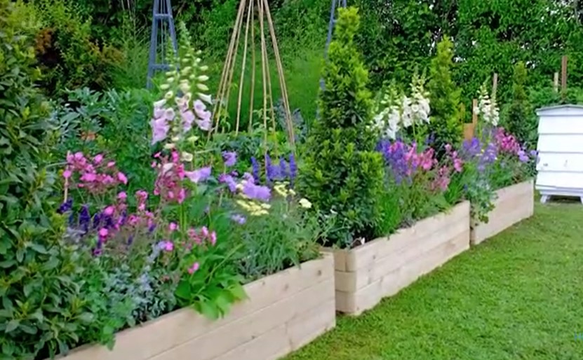 planters