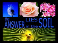 The answer lies in the soil