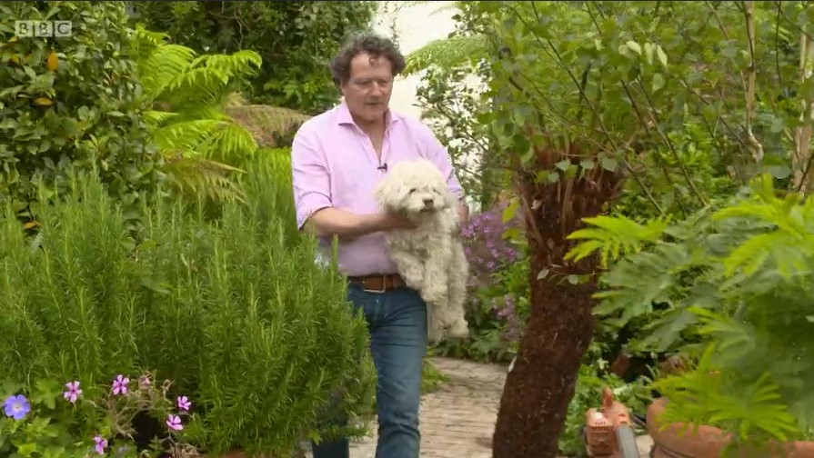 Diarmuid Gavin garden Diarmuid Gavin garden
