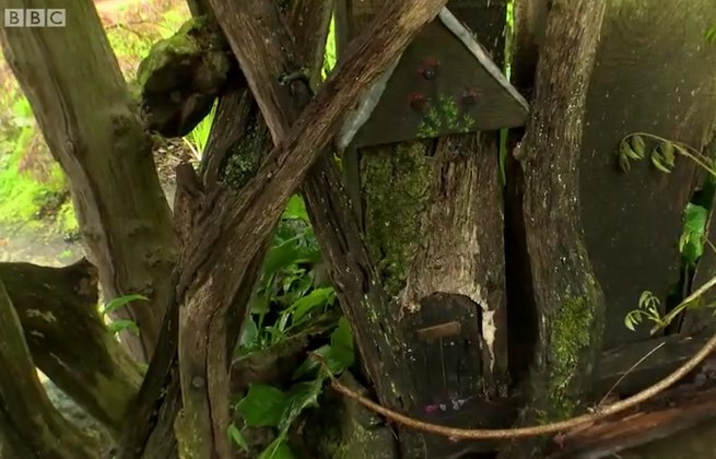 fairy door fairy door
