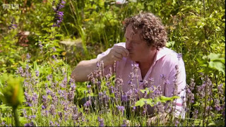 Gardening Together with Diarmuid Gavin Episode 6 Gardening Together with Diarmuid Gavin Episode 6