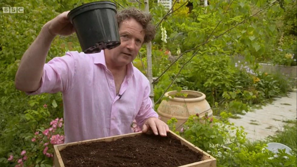 Diarmuid Gavin Diarmuid Gavin