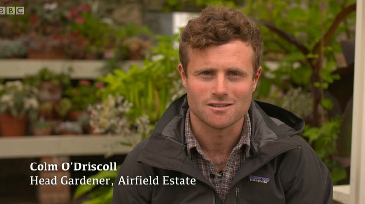 Colm O'Driscoll Colm O'Driscoll