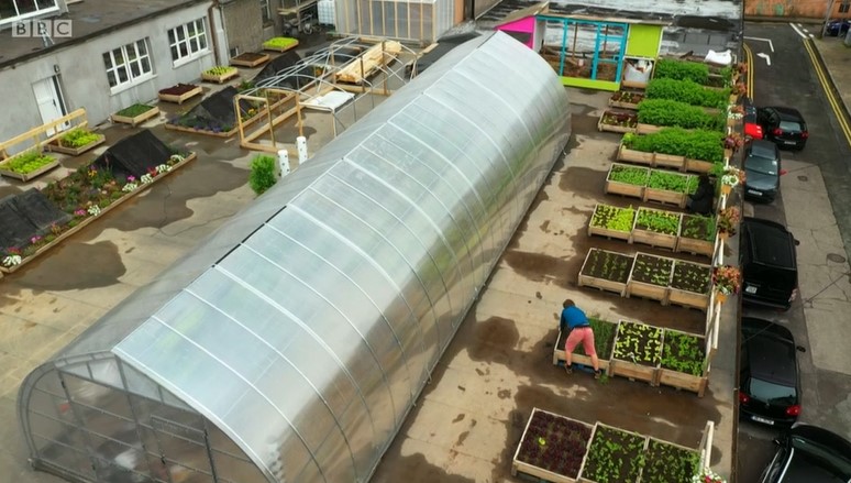 Cork Rooftop Farm. Cork Rooftop Farm.