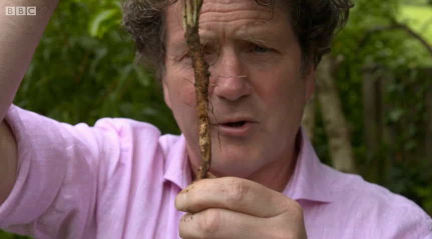 Diarmuid Gavin Diarmuid Gavin