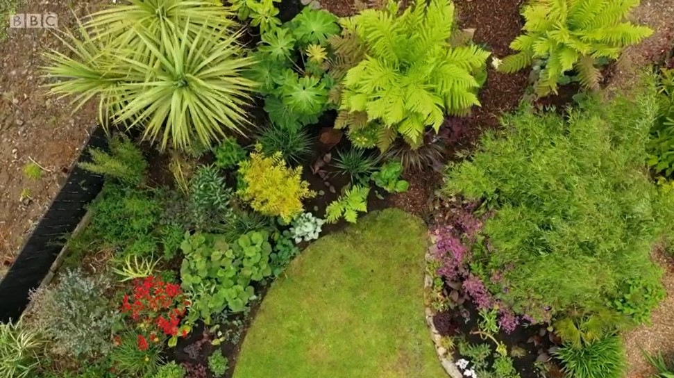 exotic garden exotic garden