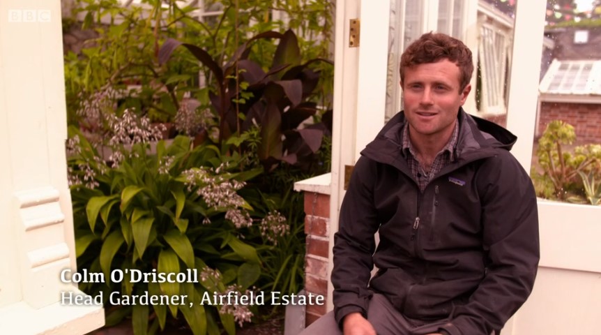 Colm O'Driscoll Colm O'Driscoll