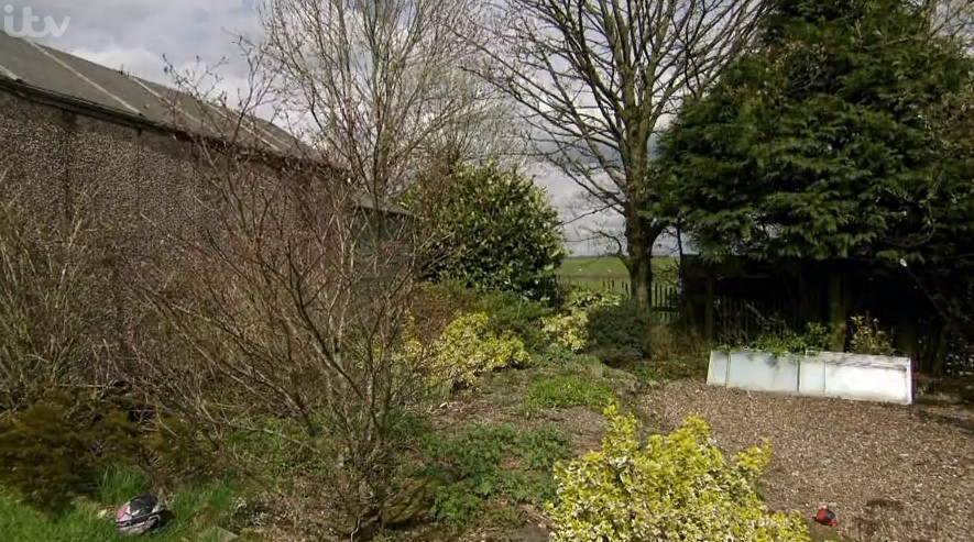 garden before garden before
