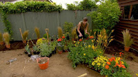 garden makeover garden makeover
