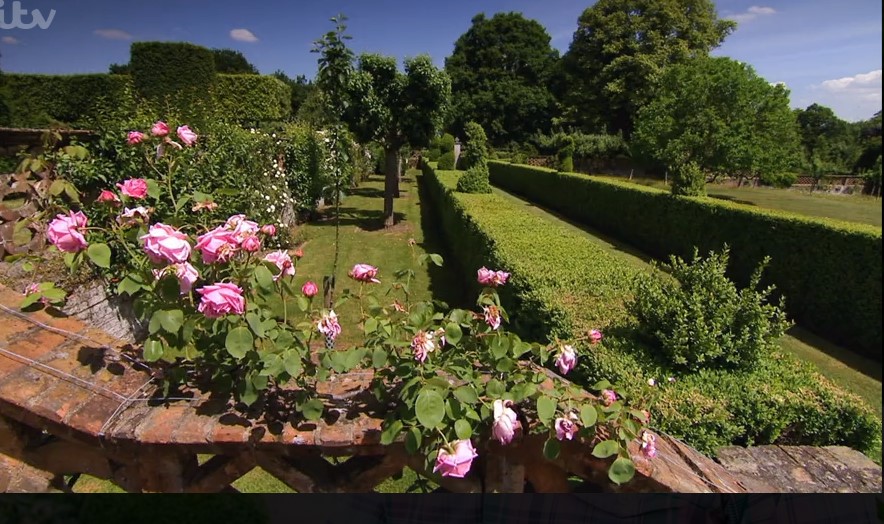 Rose garden Rose garden
