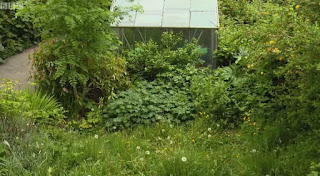 Garden before Garden before