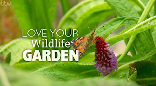 Love Your Wildlife Garden Love Your Wildlife Garden