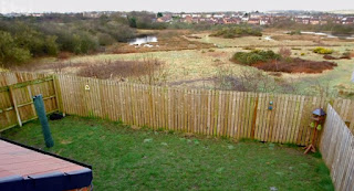 Garden before Garden before
