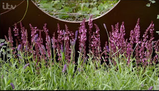 flower bed flower bed