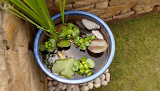 Finished garden Finished garden