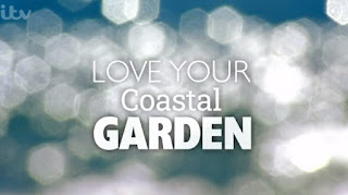 Love Your Coastal Garden Love Your Coastal Garden