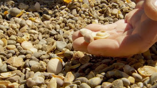 Gravel Gravel