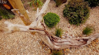 driftwood driftwood