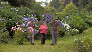 Christine Walkden Darren Dickey and Marcus