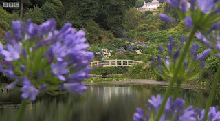 Trebah garden