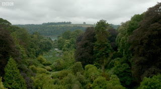 Trebah Valley