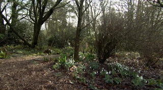 Carol Klein garden