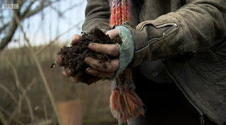 compost
