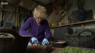 Carol Klein