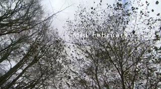 Mid February