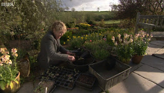 Carol Klein Carol Klein