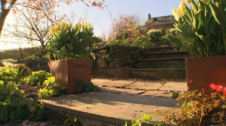 Carol Klein garden Carol Klein garden